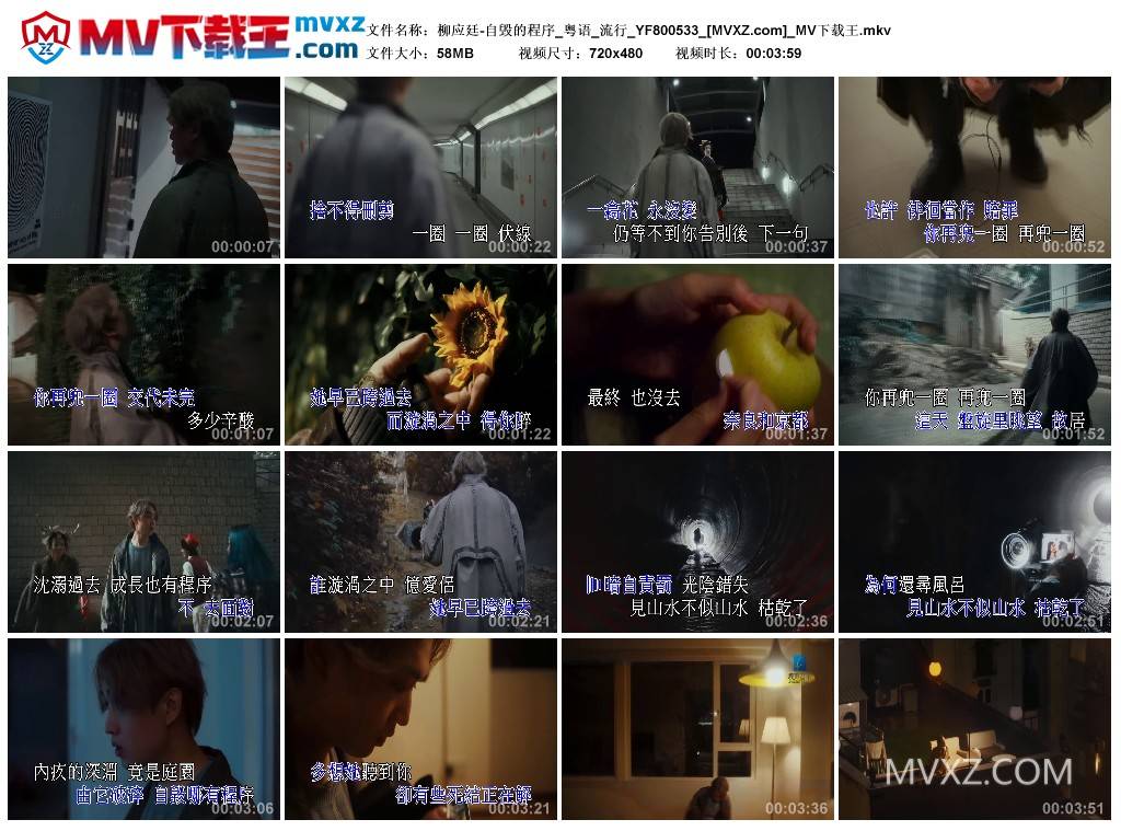 柳应廷-自毁的程序_粤语_流行_YF800533